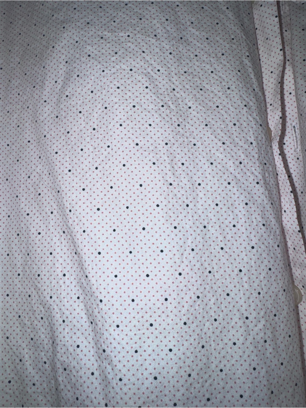 Ariat button down - Picture 3 of 3